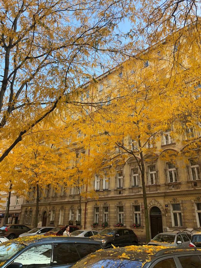 Bohemian - Velehradska Apartmán